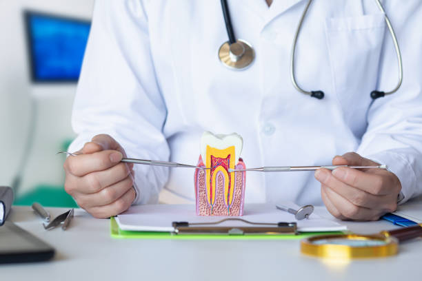 Best Emergency Tooth Extraction in Orange Grove, TX